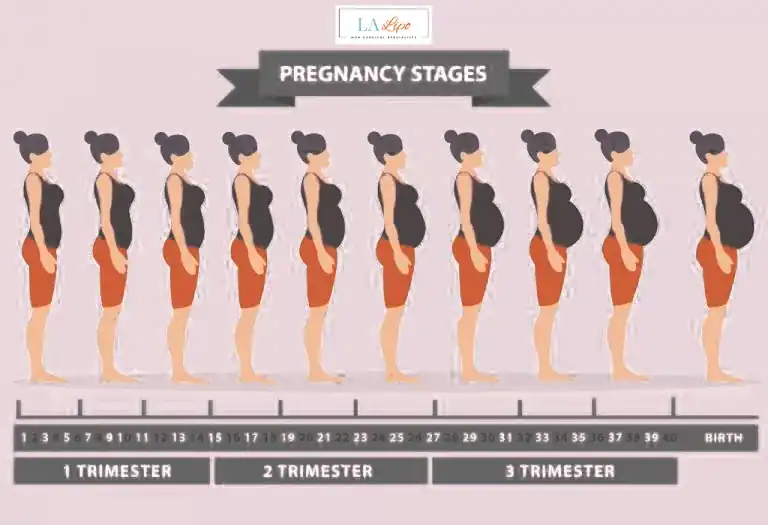 First Trimester (Weeks 1–12): Early Changes You Might Not Notice Bridgend